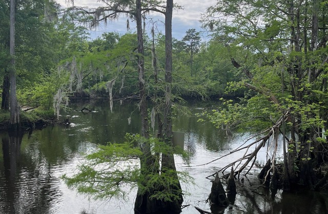 Relaxing Black River- Riverfront Retreat