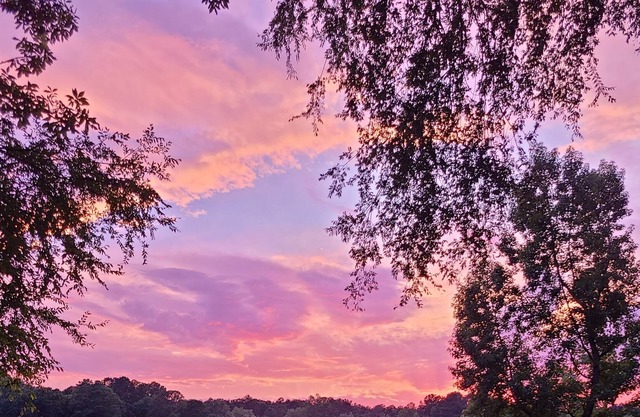 Relaxing Lakefront Retreat on Lake Sinclair