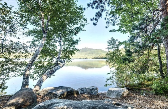 Remodeled Home near White Lake Pet-Friendly!