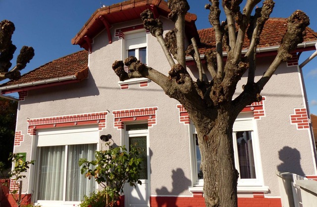 Renovated house near Digoin, pets allowed, enclosed yard