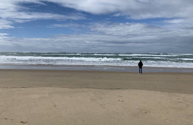 Rent cottage T2 15 minutes from the beach