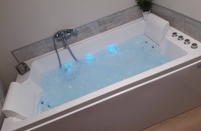 RENTAL BALNEO DUO NE ZOO BEAUVAL Saint-Aignan-sur-Cher and CASTLES