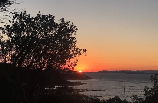 Residence Gli Oleandri 128 - enchanting sea view - Costa Smeralda -