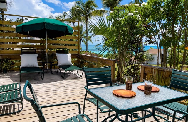 Restored Historic Cottage on Harbor, Sunset Views, Walk to Town and Beach