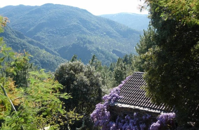 Restored sheepfold in the Cévennes