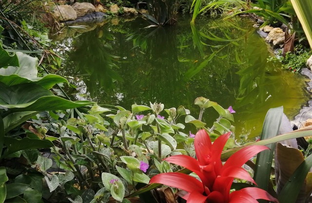 Retiro dos Sonhos