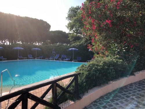 REX LO SCOGLIETTO Nuova Gestione