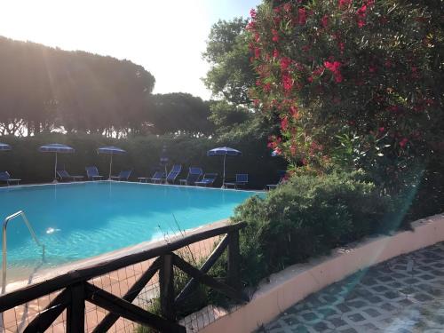 Rex Lo Scoglietto Punta Ala