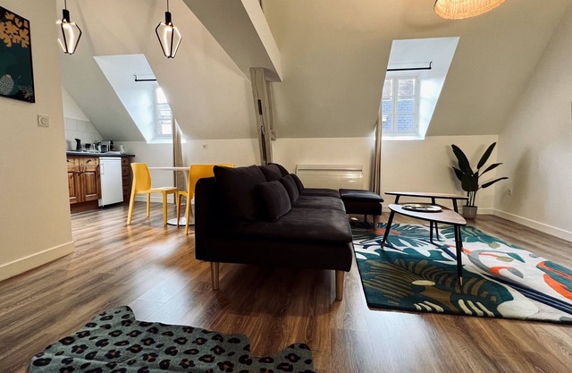 RhizHome - City center, spacious apartment
