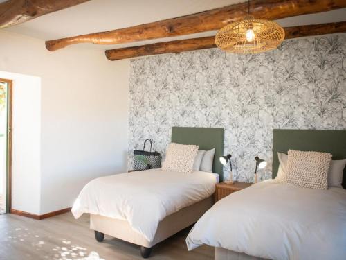 Ribbokskloof Cottages and Campsite