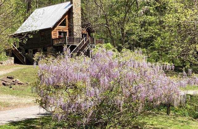 River Front property in the New River Gorge National Park on the New River