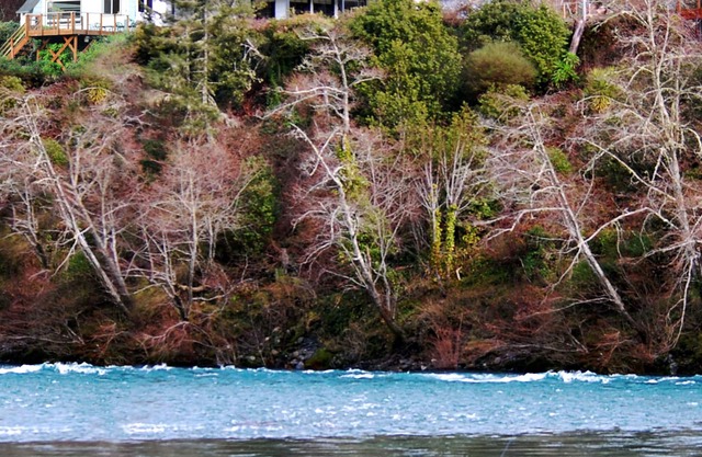 Riverfront Redwood Retreat Nestled in Nature