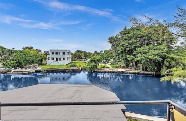 Riverfront Urban Serenity Manatee Wildlife!
