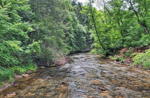 Rock N' River- Riverside retreat | Year Round Trout Stream | Master on Main