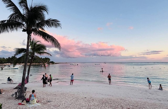 Romantic Getaway in the Jungle with AC