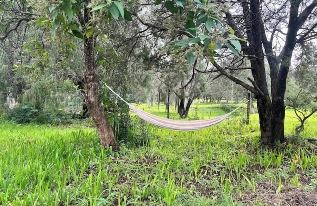 Romantic Night with in the Woods By GEstores