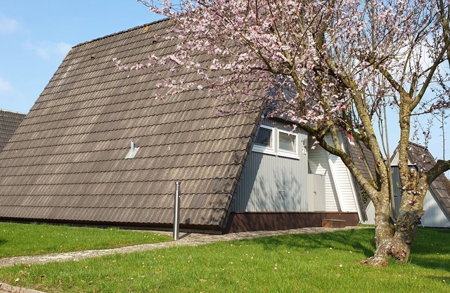 Roof-only house "Murmel 1", Wallbox f. E-cars, fireplace, beach chair, WLAN