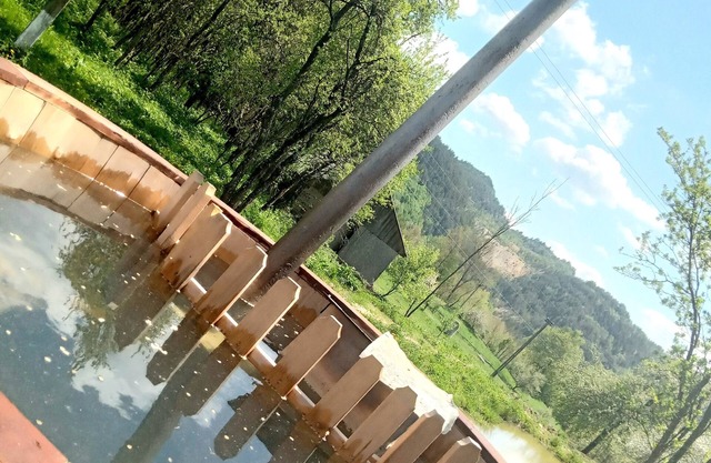 Room in Guest Room - Cozy Rural Retreat in Roşia Montana