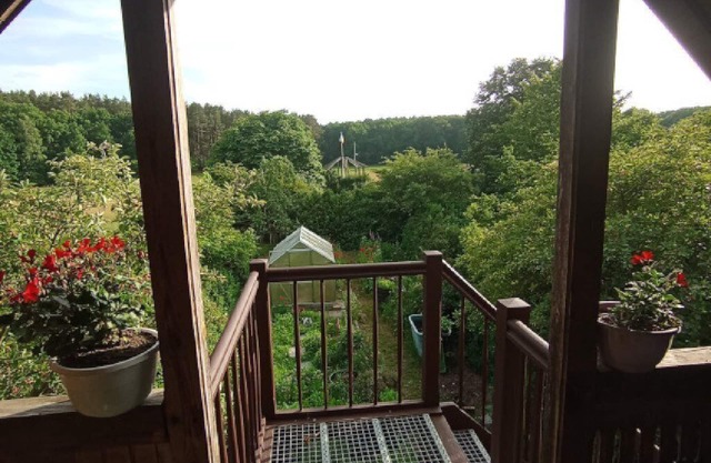 Room with a view and garden! Oasis Vulture