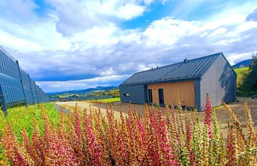 Rosochata 313 Domek w górach z Sauną Jacuzzi Basenem "Panieński" ruska Bania