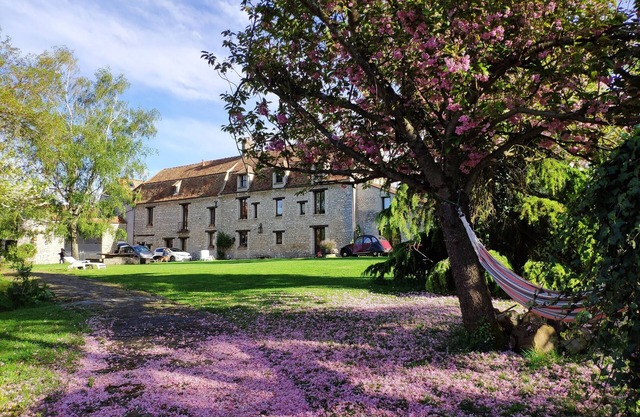 Royal falconry, in a charming village, close to PARIS and VERSAILLES