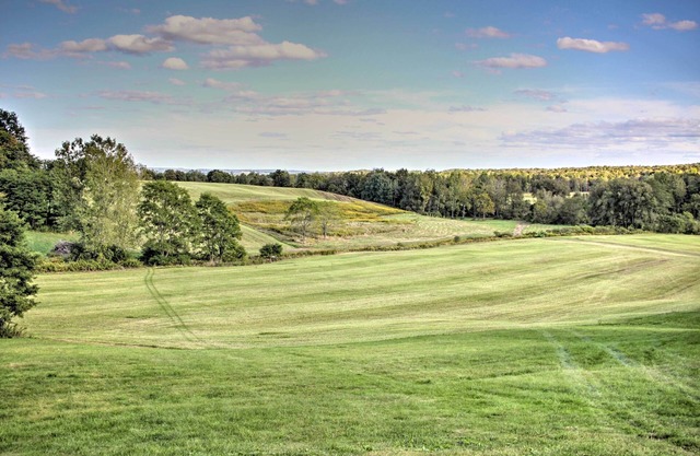 Rural Farmhouse Cabin on 150 Private Wooded Acres!