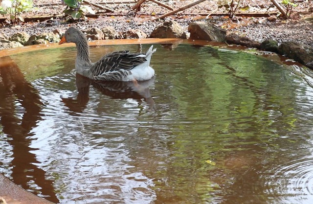 Rural Tourism House - Quinta do Lagar - Free Wifi