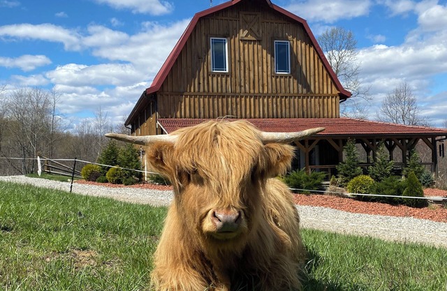 Rustic Barn Cabin on Highland Cow Farm: Hiking Trails, Hot Tub and Pool Table