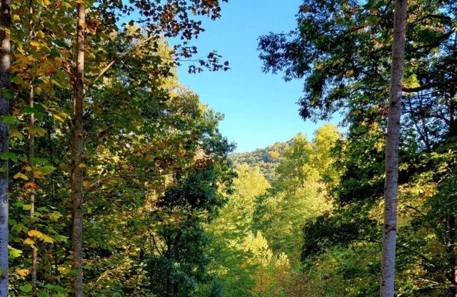 Rustic cabin close to Bald River Falls and Cherohala Skyway
