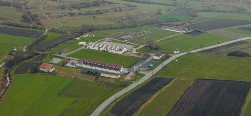 Sólyom Major - Gut Falkenhof