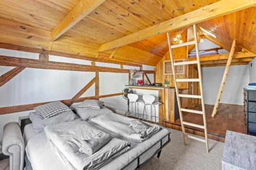 Sabina Mounteurwohnung Dachboden I 55 Zoll TV I Schlafcouch mit 20cm Matraze 2 weitere Schlafplätze I Küche I Bad