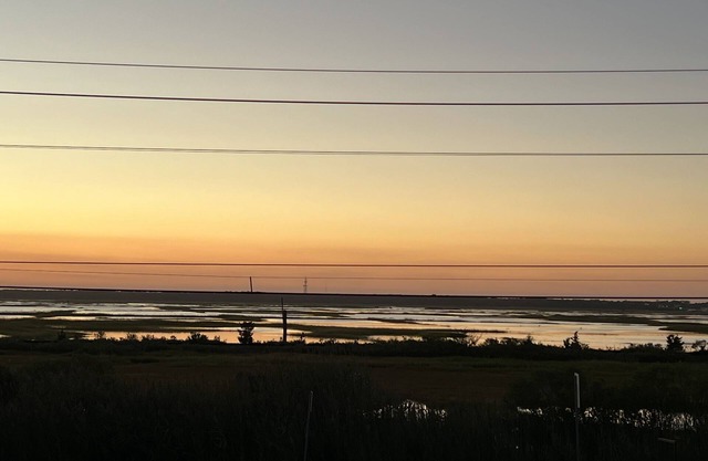 Salty Dog: South End Sunsets - Dog Friendly 2 short blocks to 42nd Street beach