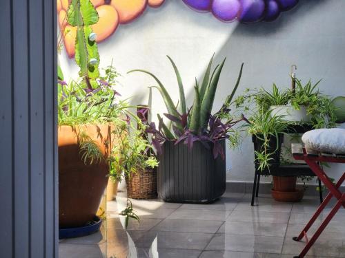 Salvia BnB, Habitaciones con Banos Privados