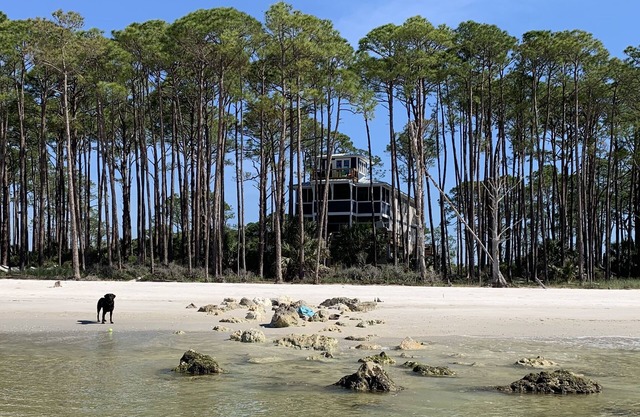 Sand Point South on Alligator Point