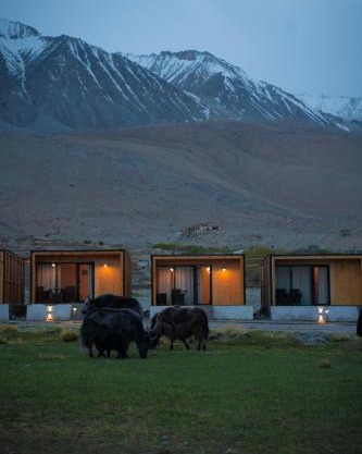 Saser Scenic Pangong