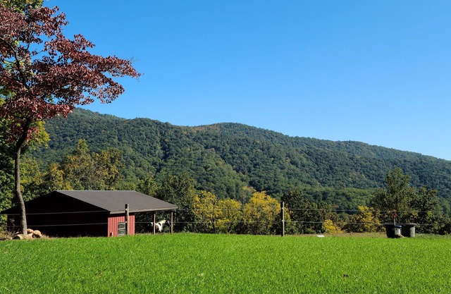 Scenic mountain getaway with a firepit and amazing views of mountains and horses