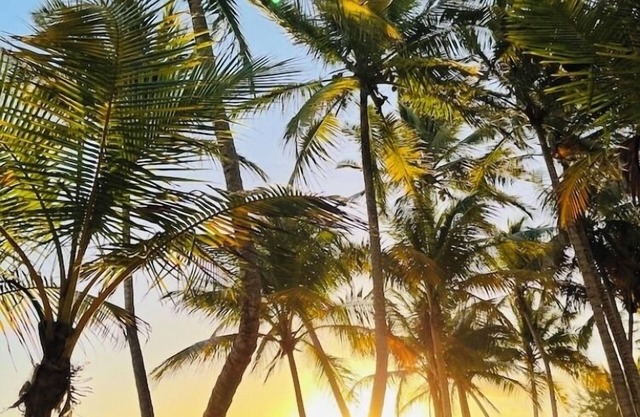 Sea breeze, Sun & walking distance from the beach