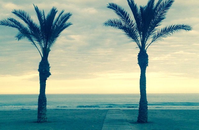 Sea view apartment in Playa San Juan with pool near the beach