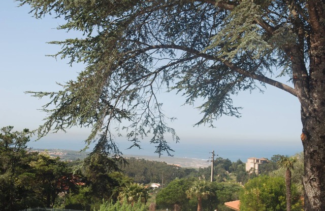 Sea View Villa - Malveira da Serra - Cascais