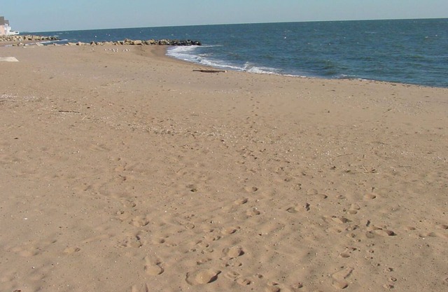 Seaside cottage close to Yale
