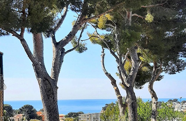 Seaside house under the pines, calm and serenity for a rejuvenating stay