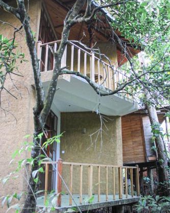 Seasons Four Jungle Treehouse