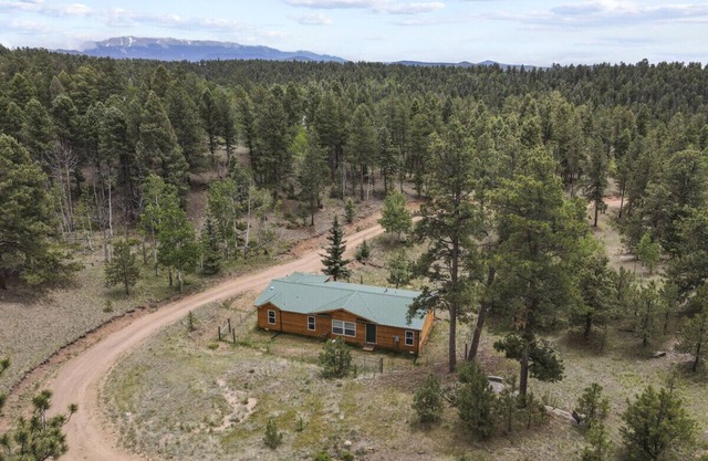 Secluded cabin in the woods
