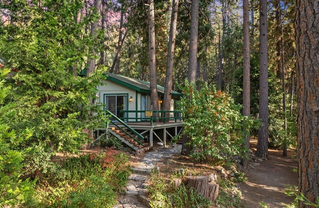 Secluded Cozy Cottage: Walk to Town, Private