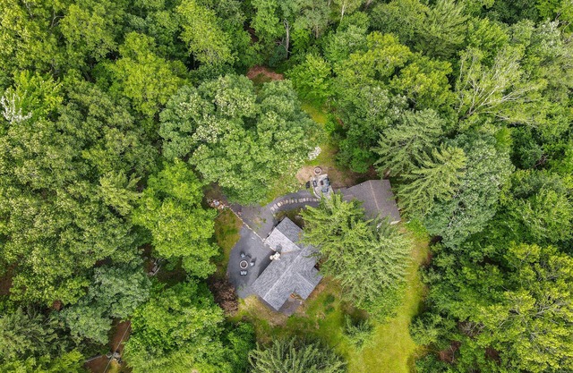 Secluded dog-friendly cottage with firepit, gas grill, patio, internet, & AC