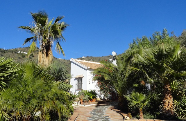 Secluded finca with sea view and palm garden for 4 persons