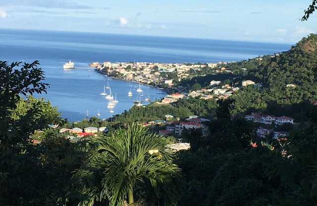 Secluded house with stunning views & quiet location, convenient for Roseau