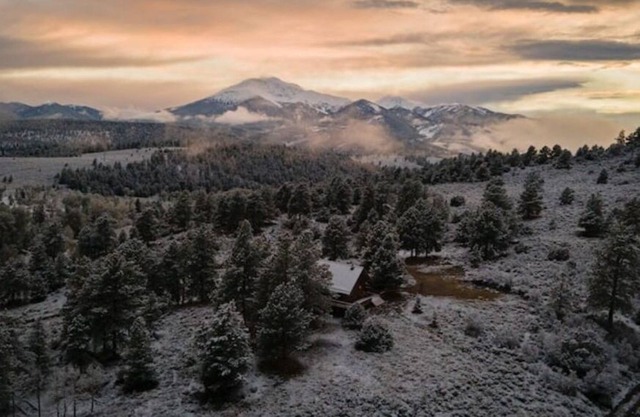 Secluded Salida cabin on 40 private acres