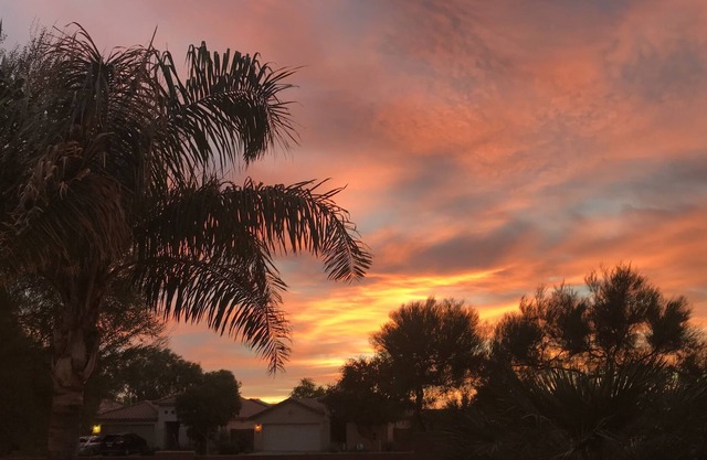 Secluded San Tan Valley AZ Home