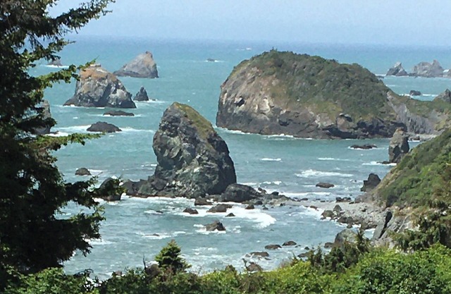 Secret Beach Retreat 1 Ocean Front nearTrinidad CA